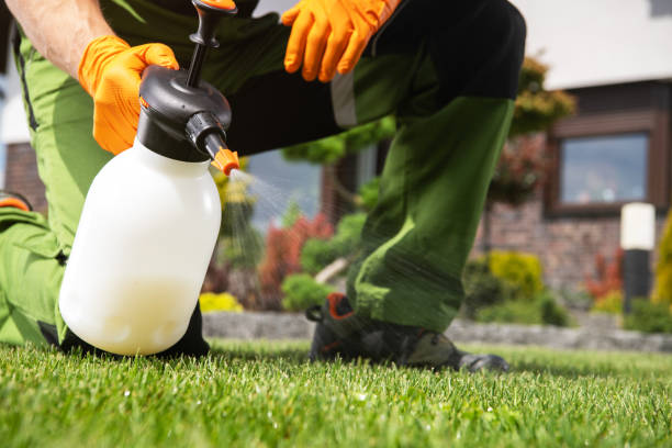 Best Best Pest Control Companies  in Tehachapi, CA