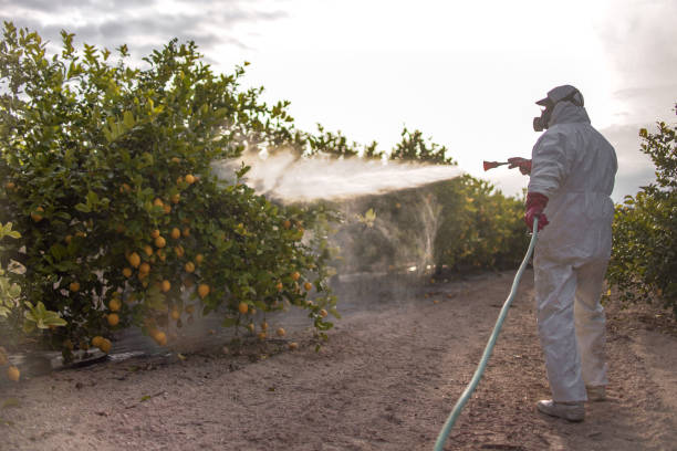 Best Bird Control  in Tehachapi, CA